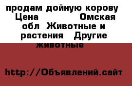 продам дойную корову › Цена ­ 35 000 - Омская обл. Животные и растения » Другие животные   